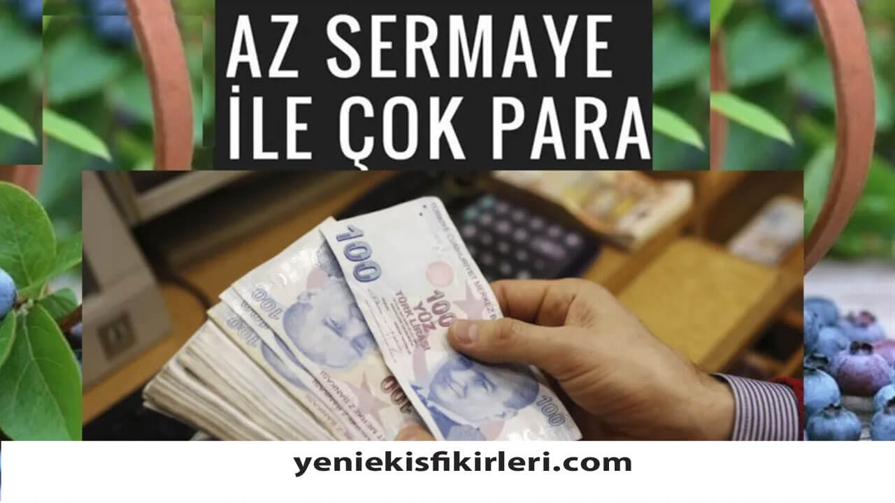 Düşük Sermayeli İş Fikirleri