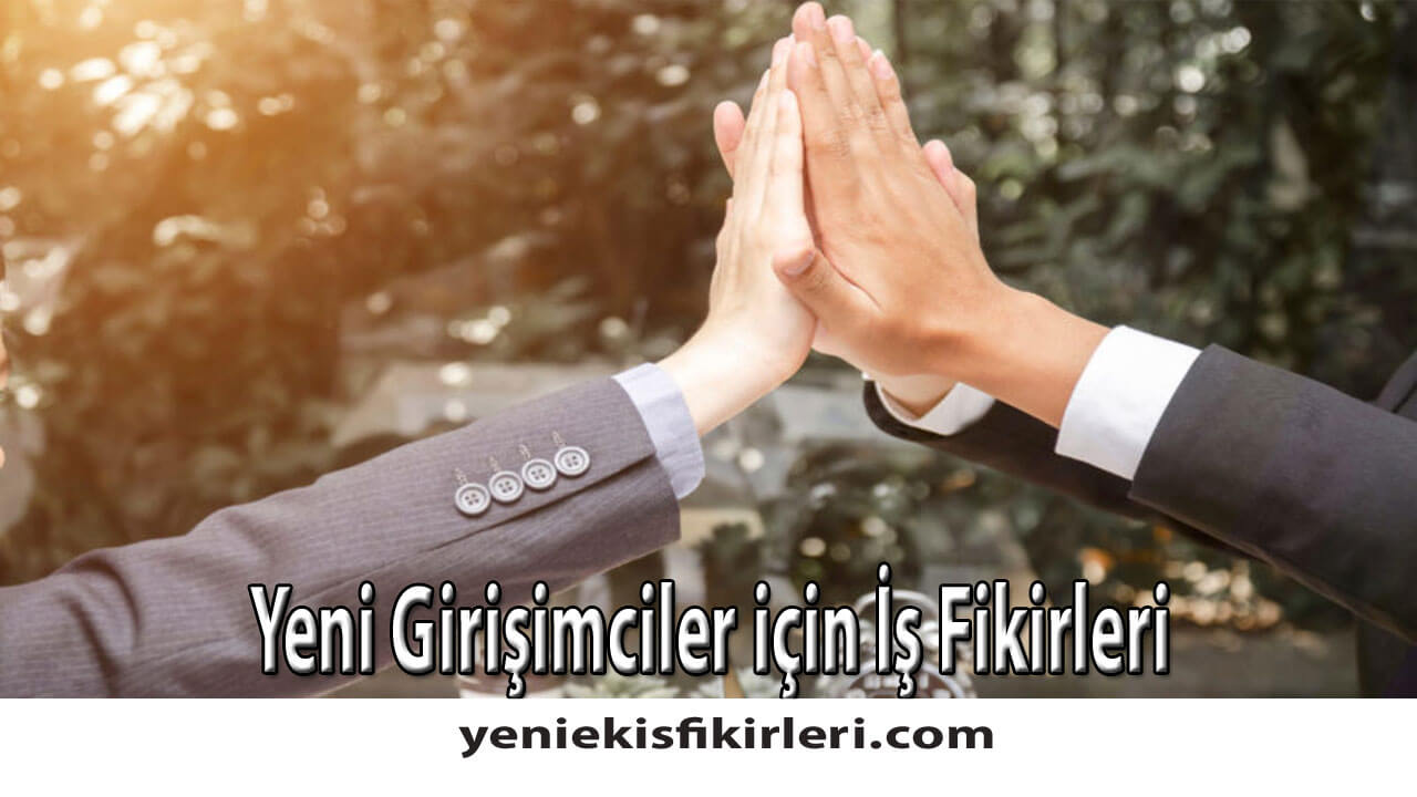 Yeni Girişimciler için İş Fikirleri