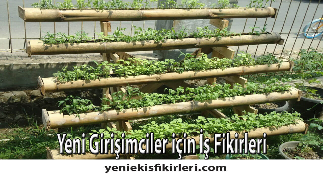 Yeni Girişimciler için İş Fikirleri