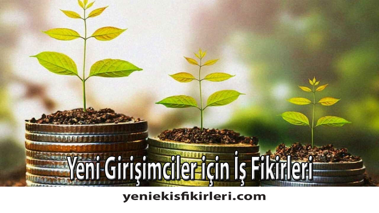 Yeni Girişimciler için İş Fikirleri