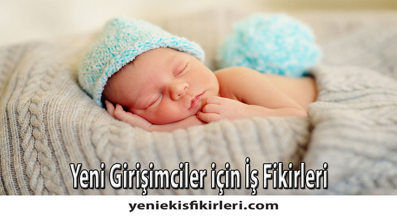 Yeni Girişimciler için İş Fikirleri