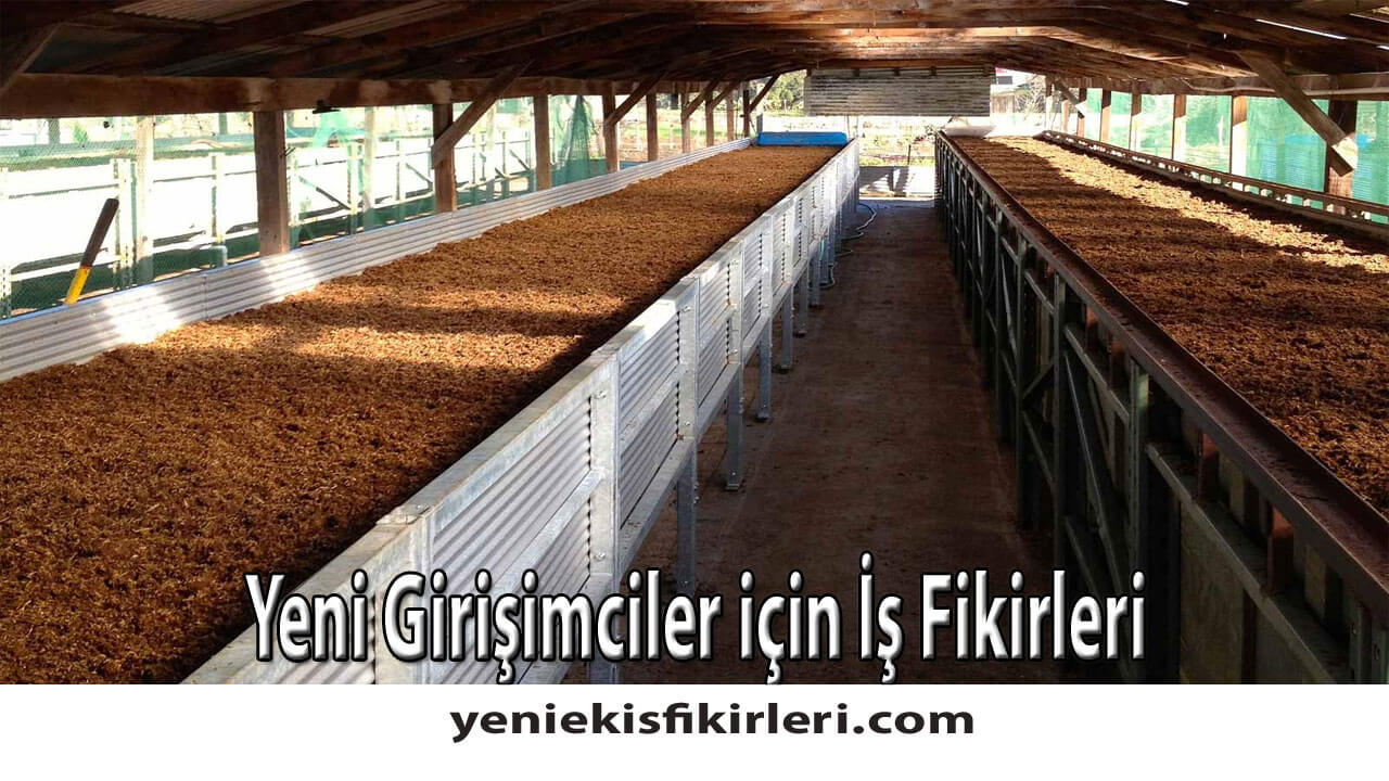 Yeni Girişimciler için İş Fikirleri